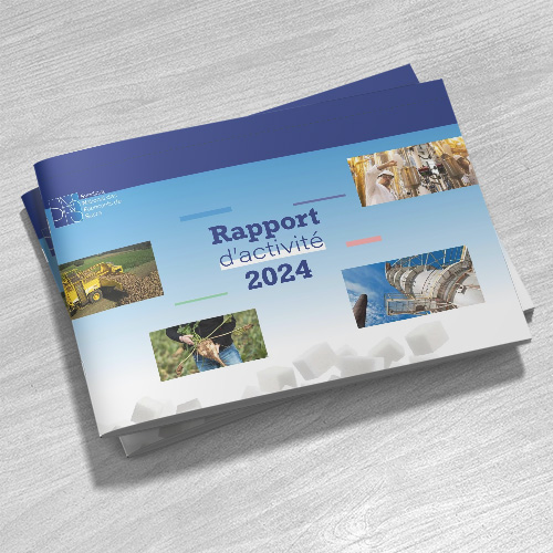 Rapport d'activité 2024 rapport d'activité 2024 SNFS