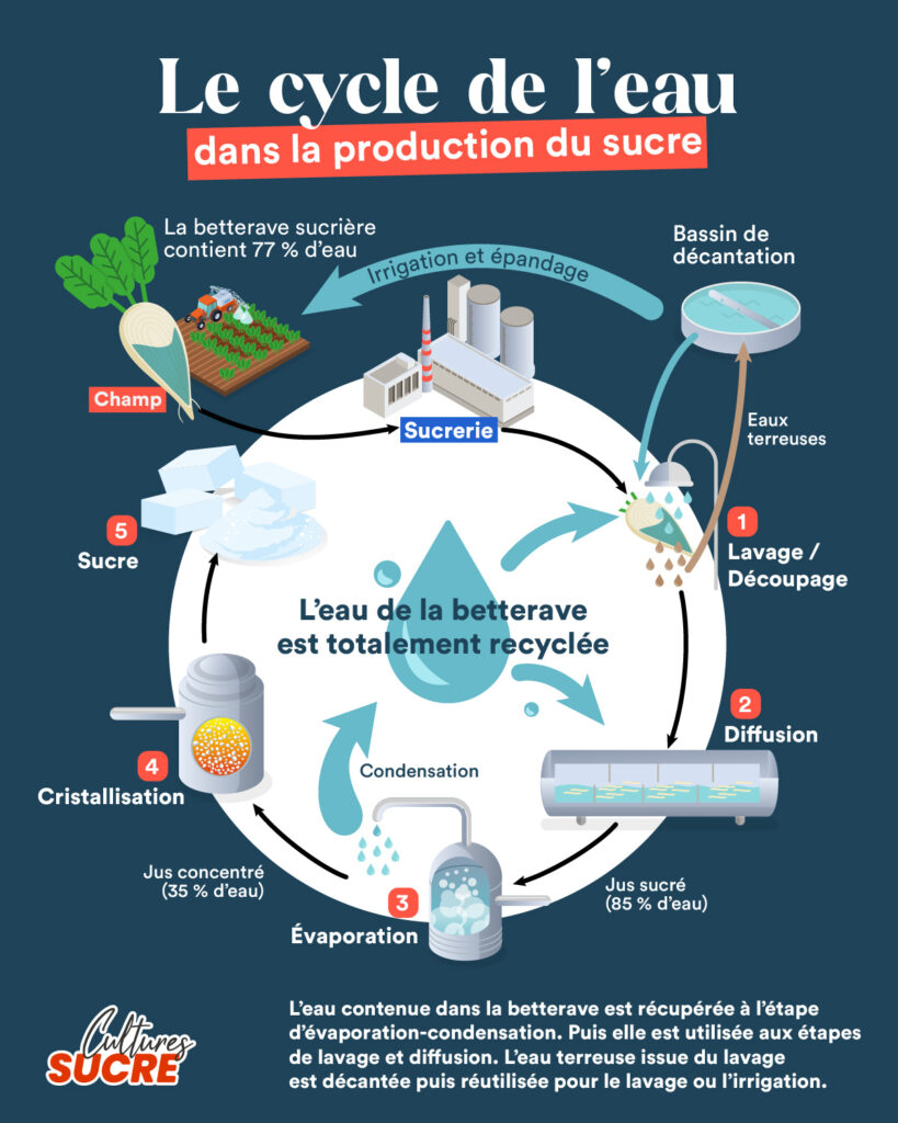 cs-cycle-de-l-eau-1200x1500