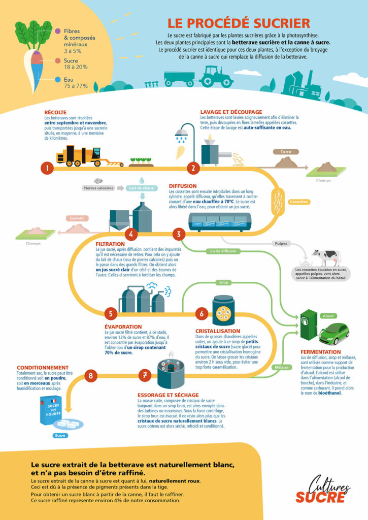 de-la-plante-au-sucre-procede-sucrier
