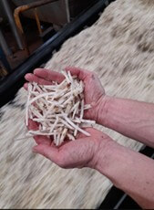 extraction-du-sucre-par-diffusion-4