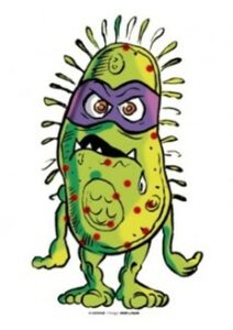 perissabilite-de-la-betterave-1