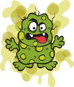 perissabilite-de-la-betterave-6